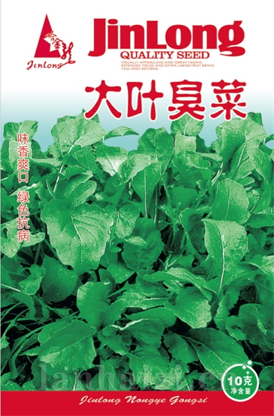 大叶臭菜