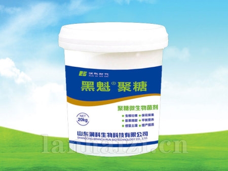 黑魁聚糖