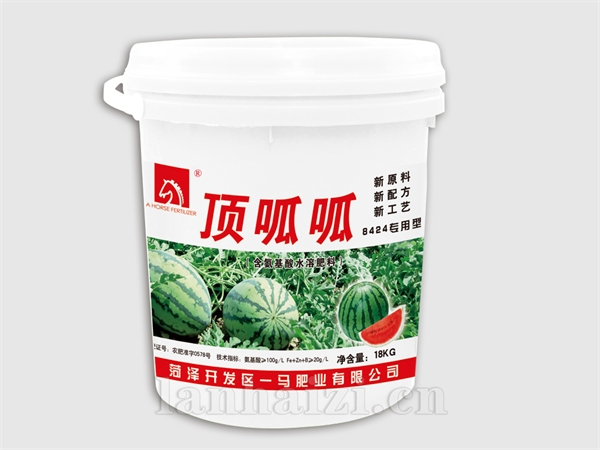 顶呱呱