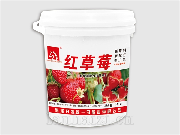 红草莓