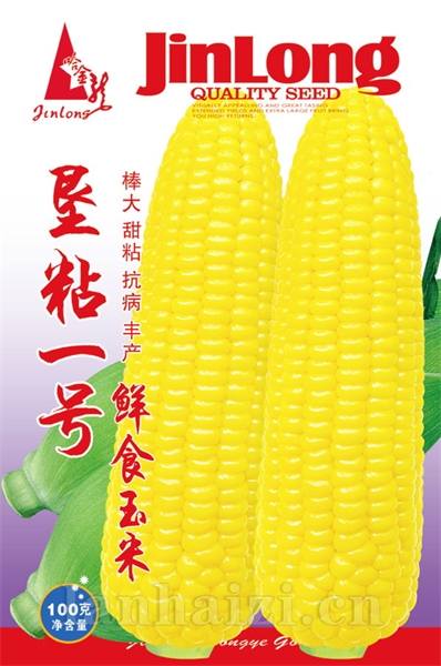 垦粘一号
