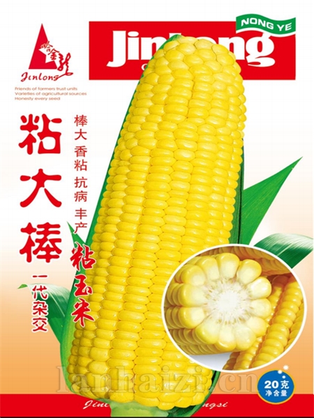 粘大棒