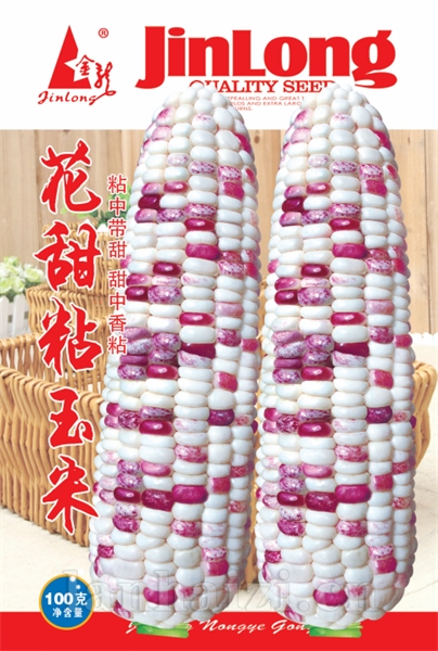 花甜粘玉米