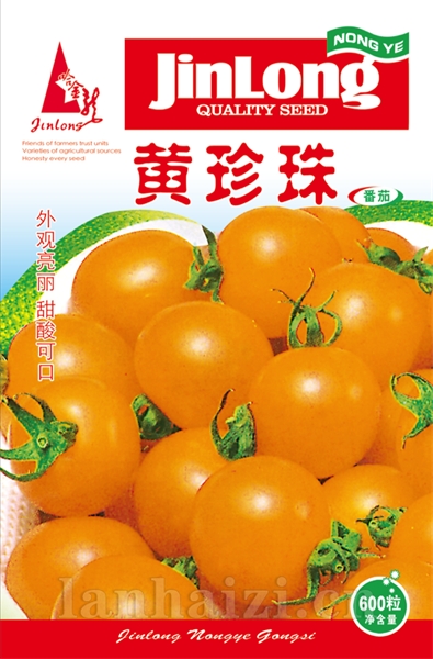 黄珍珠