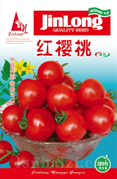 红樱桃