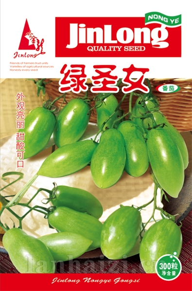 绿圣女