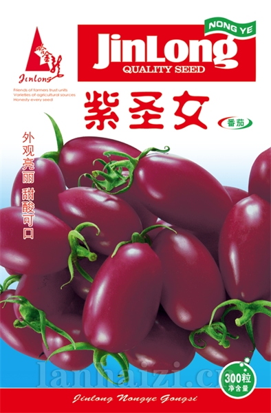 紫圣女