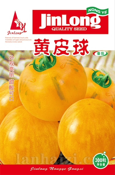 黄皮球