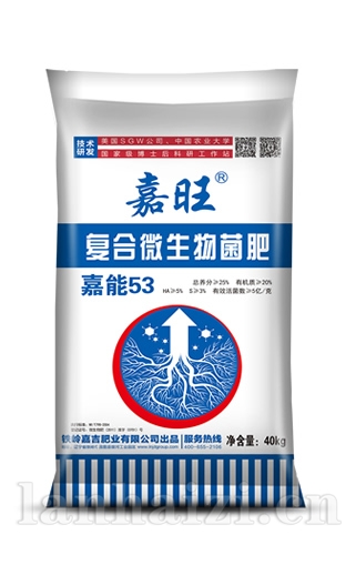  嘉能53