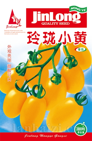 玲珑小黄
