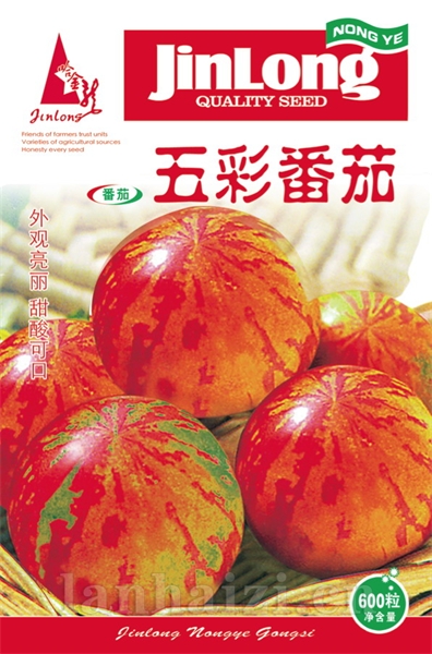 五彩番茄