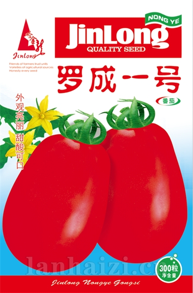 罗成一号