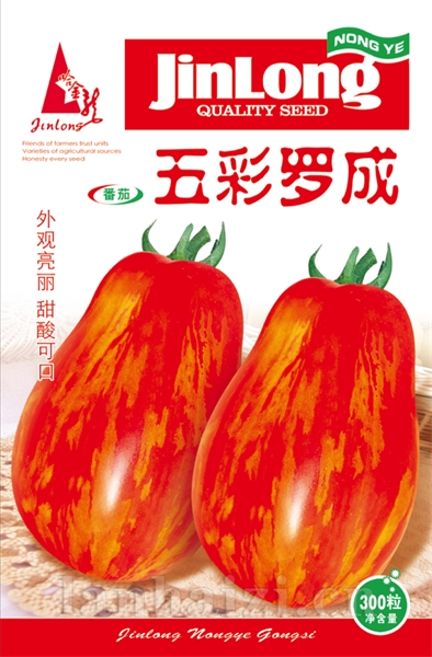 五彩罗成