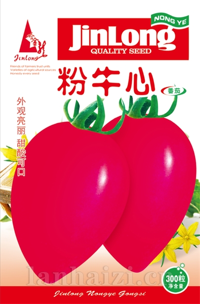 粉牛心