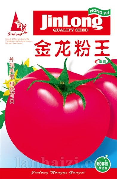 金龙粉王