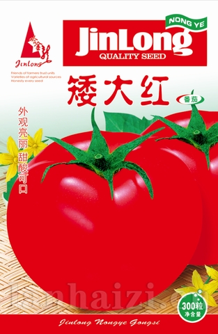 矮大红
