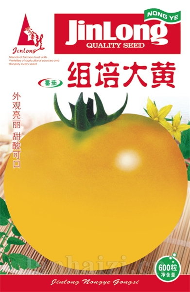 组培大黄