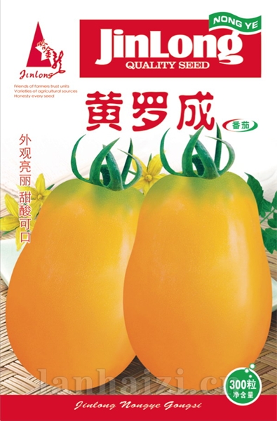黄罗成番茄