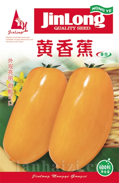 黄香蕉