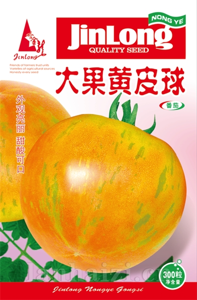 大果黄皮球