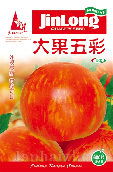 大果五彩