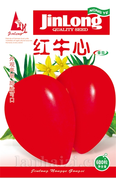 红牛心