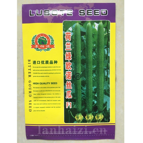 荷兰绿欧诺丝瓜—你无悔的选择