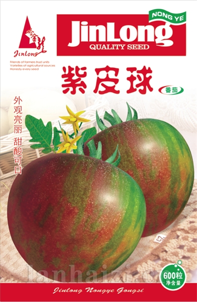 紫皮球