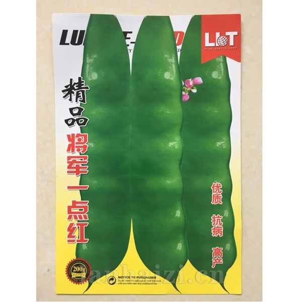 将军一点红