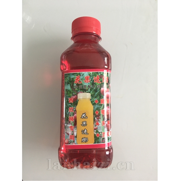 花果速膨西红柿专用