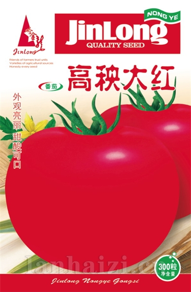 高秧大红