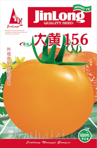 大黄156