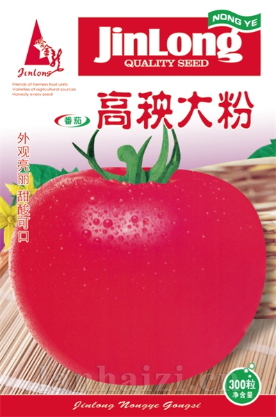 高秧大粉