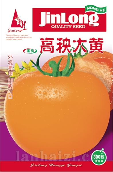 高秧大黄
