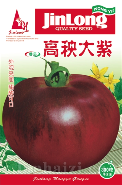 高秧大紫