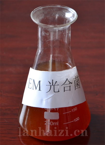 EM-光合菌