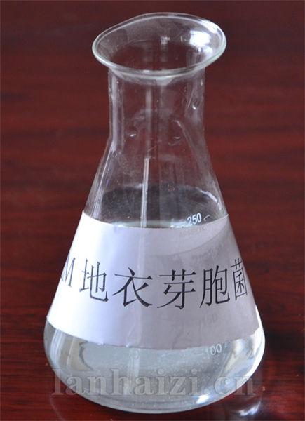 EM-地衣芽孢菌