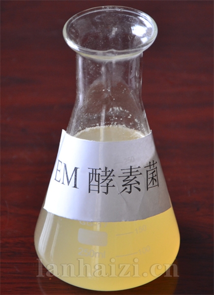 EM-酵素菌