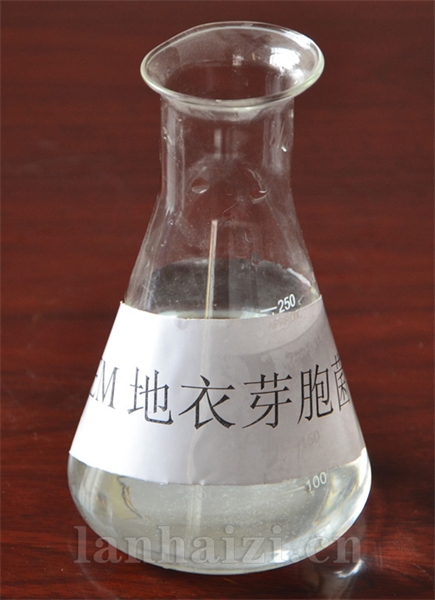 EM-地衣芽菌