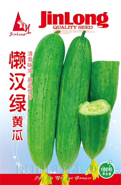 懒汉绿黄瓜