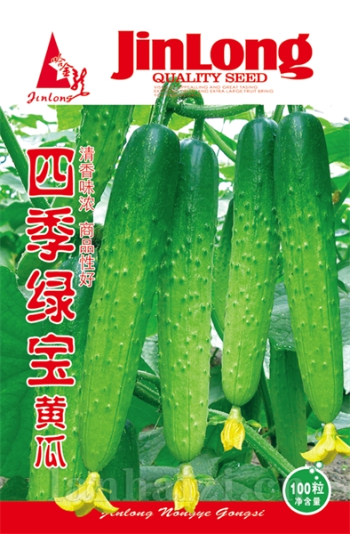 四季绿宝黄瓜