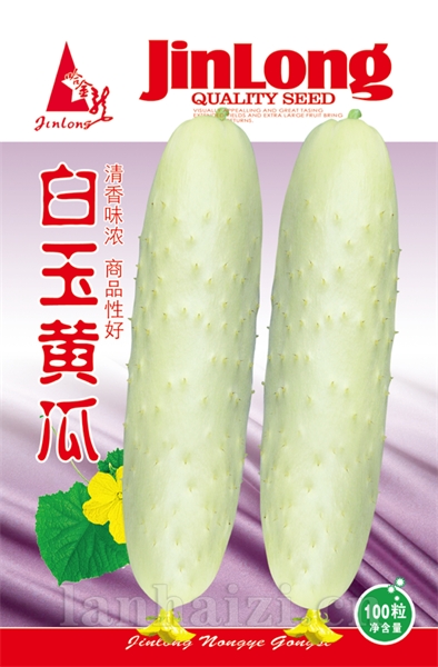 白玉黄瓜