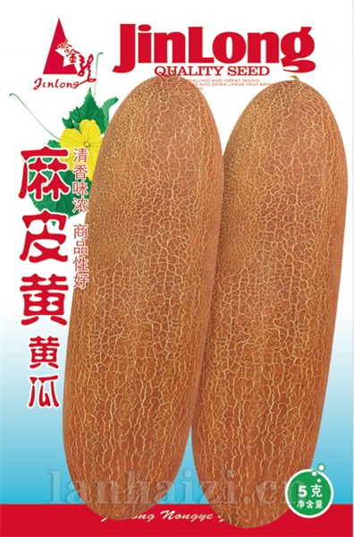 麻皮黄黄瓜