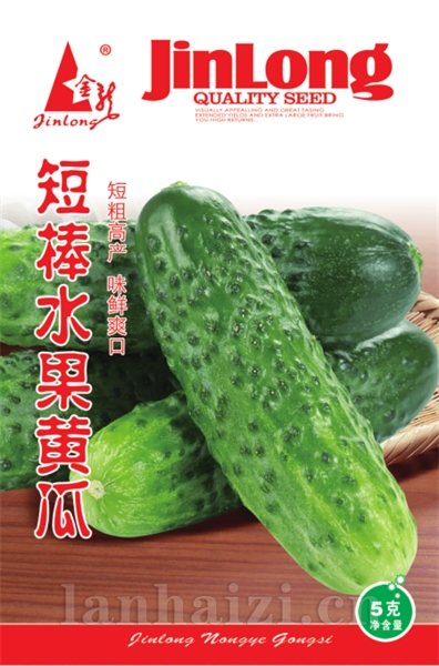 短棒水果黄瓜