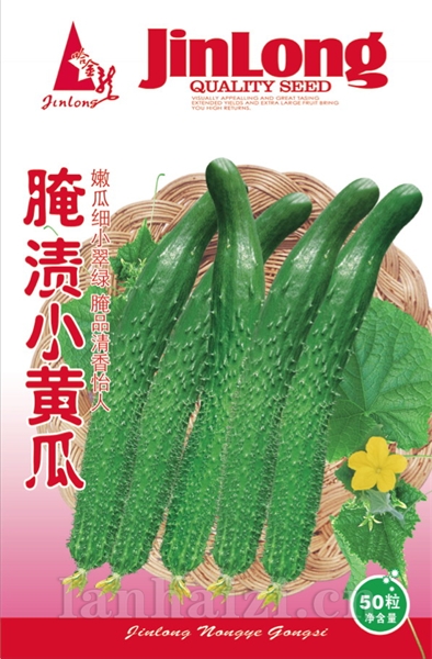 腌渍小黄瓜