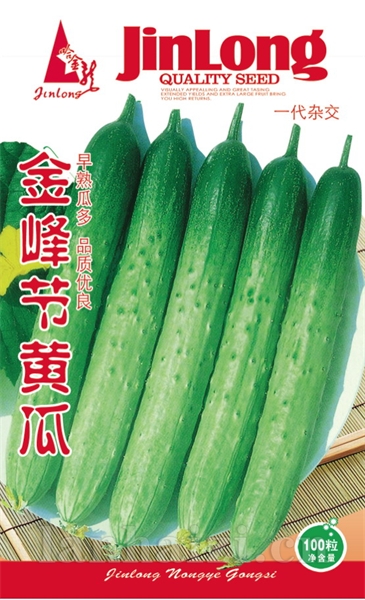 金峰节黄瓜