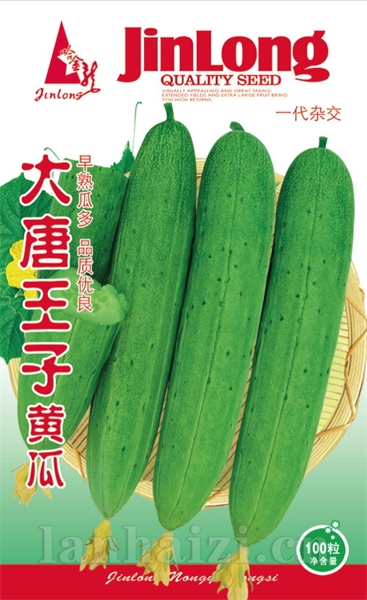 大唐王子黄瓜