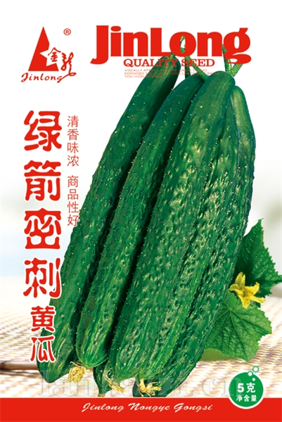 绿箭密刺黄瓜