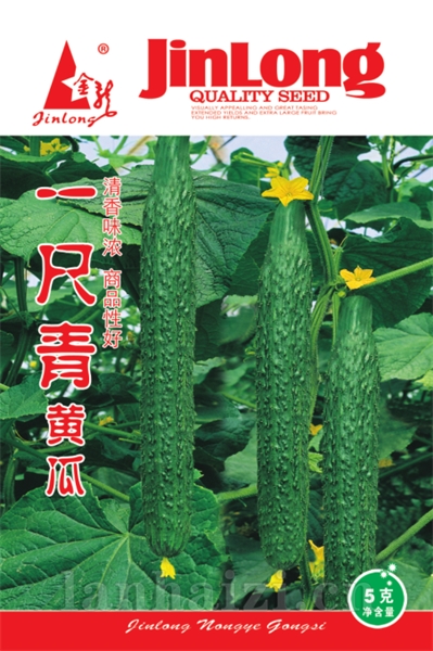 一尺青黄瓜