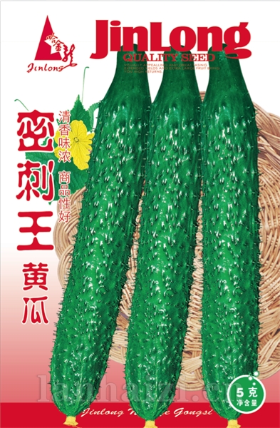 密刺王